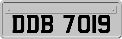 DDB7019