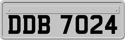 DDB7024