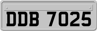DDB7025