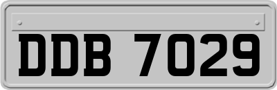 DDB7029