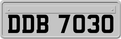DDB7030