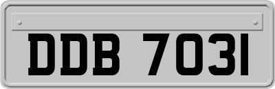 DDB7031