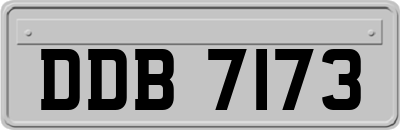 DDB7173