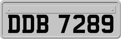 DDB7289