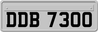 DDB7300