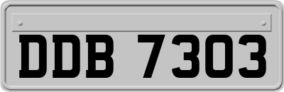 DDB7303