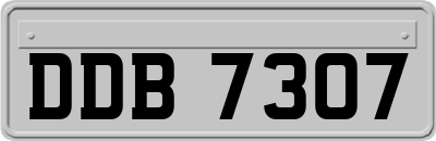 DDB7307