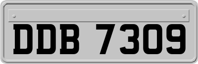 DDB7309