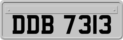 DDB7313