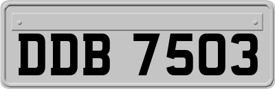DDB7503