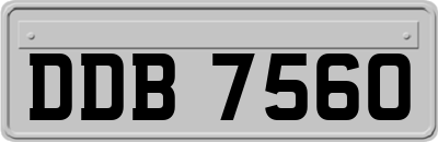 DDB7560