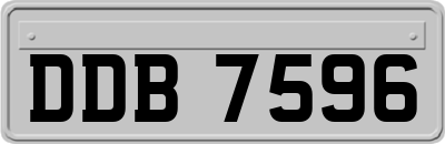 DDB7596