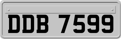 DDB7599