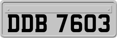 DDB7603
