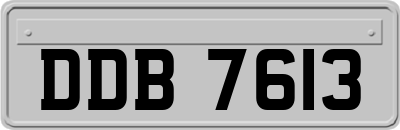 DDB7613