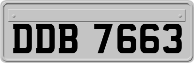 DDB7663