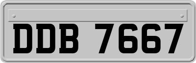 DDB7667