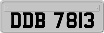 DDB7813