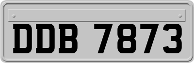 DDB7873