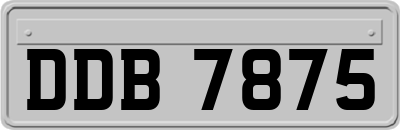 DDB7875