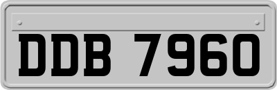 DDB7960