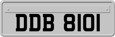 DDB8101