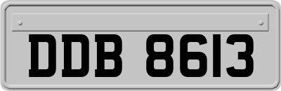 DDB8613