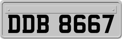 DDB8667