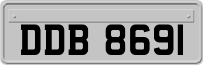DDB8691