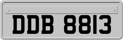 DDB8813