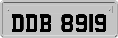 DDB8919