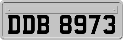 DDB8973