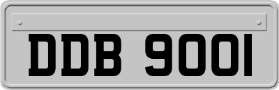 DDB9001