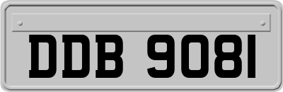 DDB9081