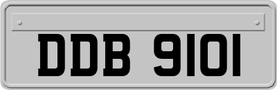 DDB9101
