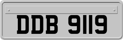 DDB9119