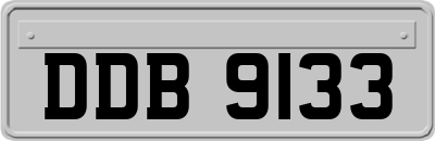 DDB9133