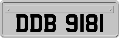 DDB9181