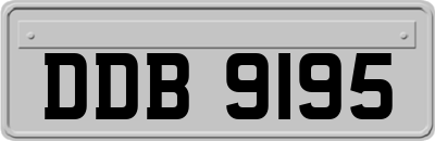 DDB9195