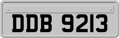 DDB9213