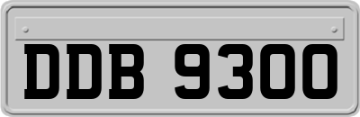 DDB9300