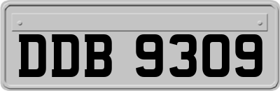 DDB9309