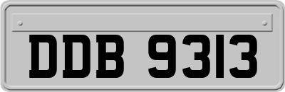 DDB9313