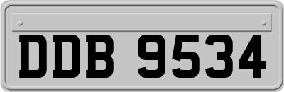 DDB9534