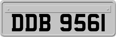 DDB9561