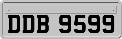 DDB9599