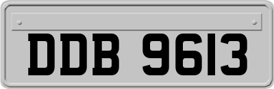 DDB9613