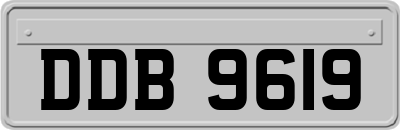DDB9619