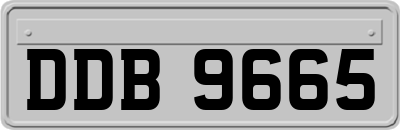 DDB9665