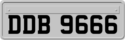 DDB9666